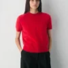 Brushed Cashmere Shortsleeve Crew Sweater
