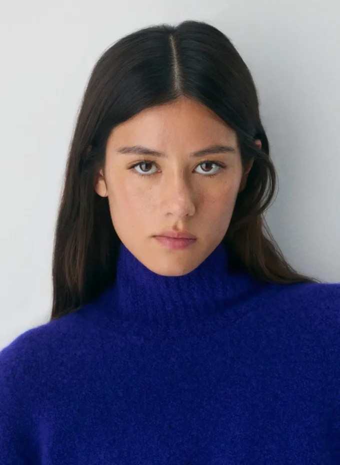 Gotham Merino-Wollrollkragenpullover Gotham Merino-Wollrollkragenpullover