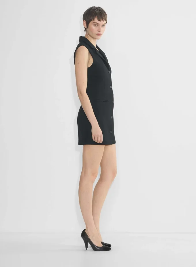 Mastermind Dress